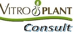 VITROPLANT CONSULT