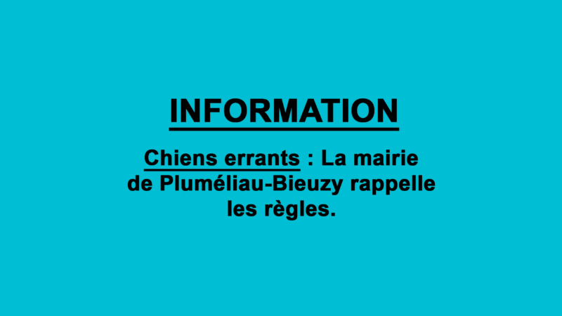 La mairie vous informe : Chiens errants