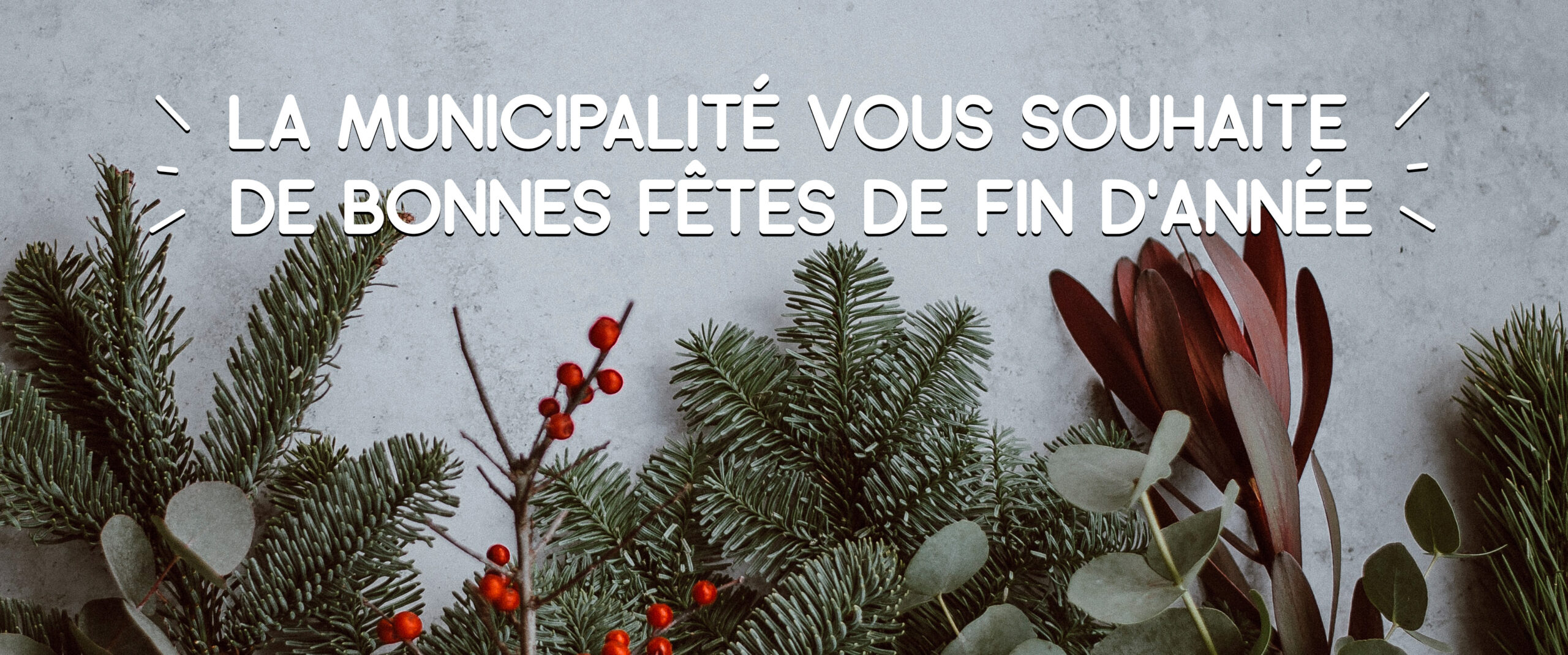 Bonnes fêtes de fin d’année