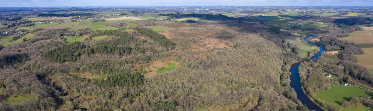 Les landes du Crano