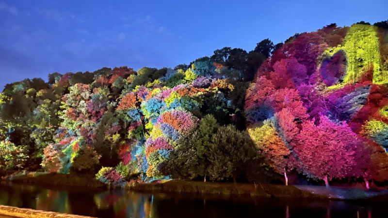 Les nuits de Saint-Nicolas-des-Eaux