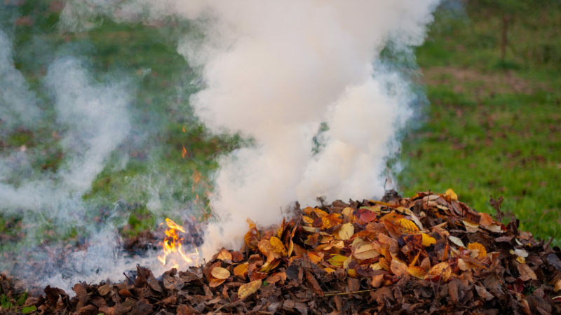 Feu et du brûlage des déchets verts