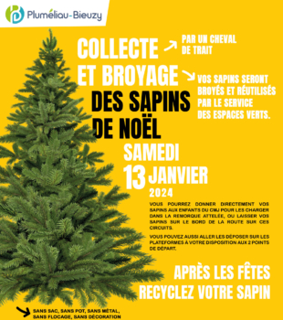 Collecte et broyage des sapins de Noël