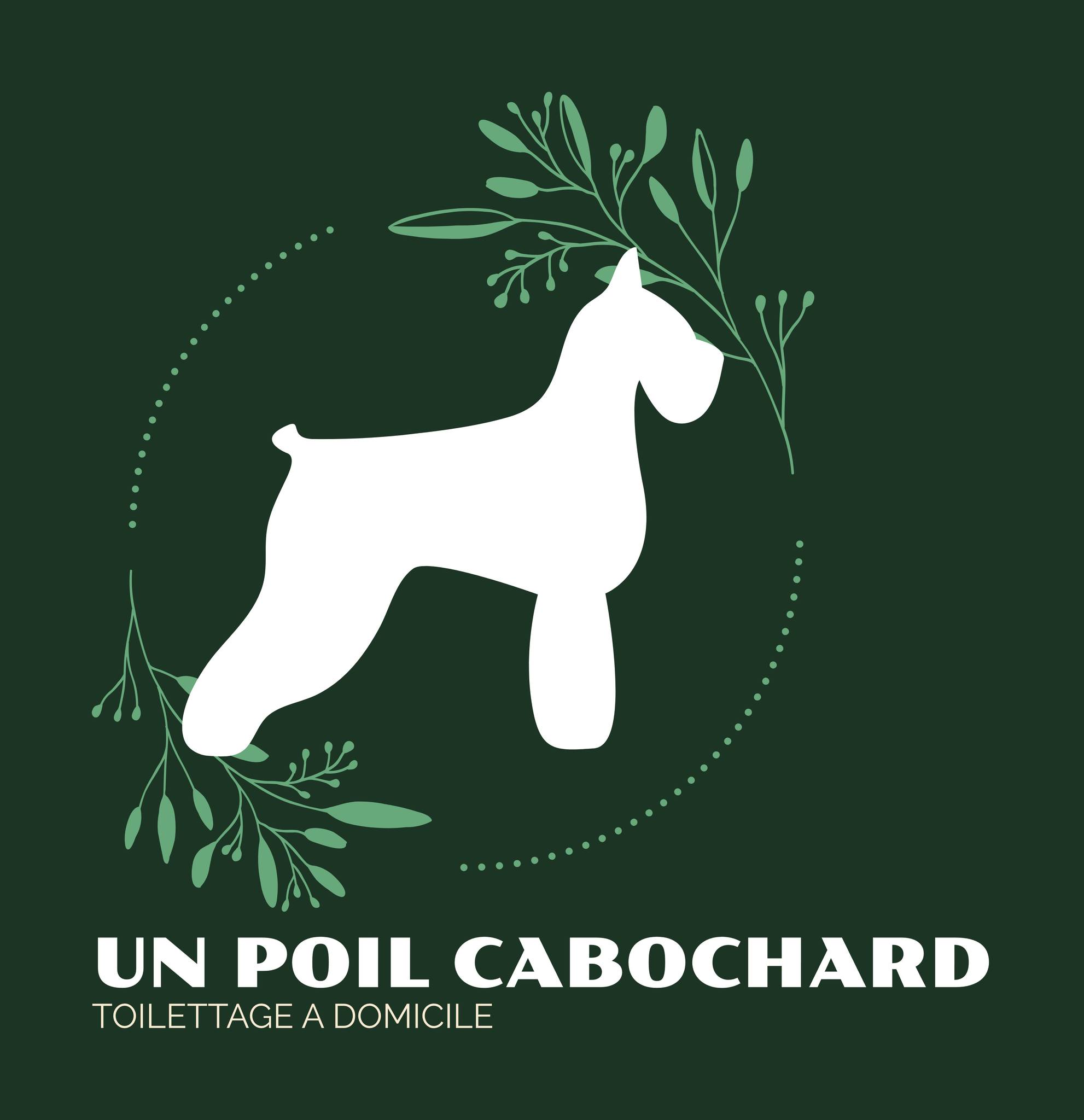 Un Poil Cabochard