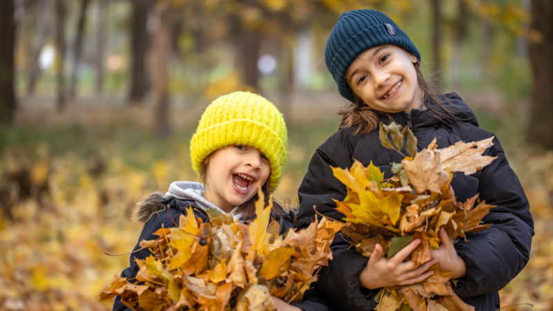 Programme des vacances 2-8 ans